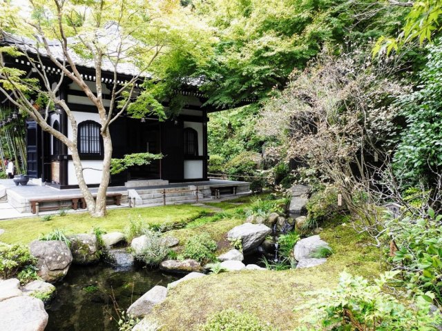 Egy álom valóra vált - Seba Japánban 14